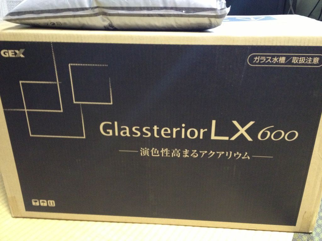 GlassteriorLX600